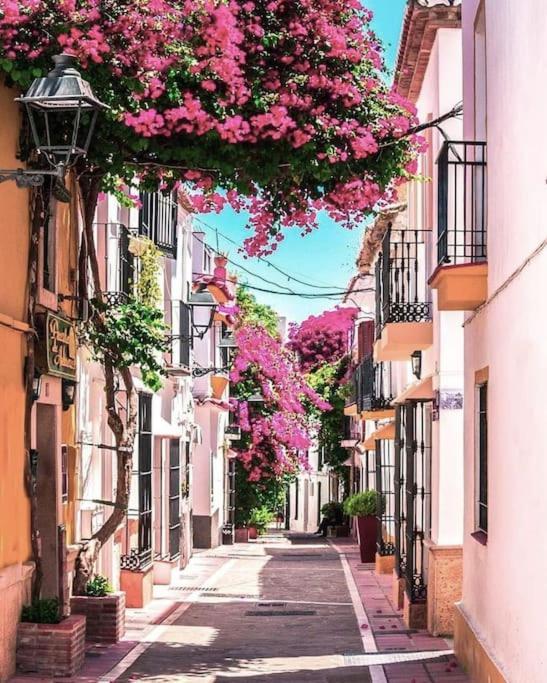 Apartamento Beautiful Old Town Retreat *